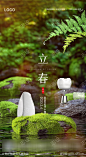 立春牙齿节气海报_源文件下载_PSD格式_880X1612像素-牙齿,牙科,口腔,活动,海报,24节气,立春-作品编号:2023020210452408-志设-zs9.com
