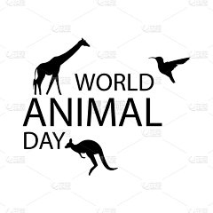 动物,白昼,地球,环境,哺乳纲,鸟类,行星,袋鼠,分离着色,剪影