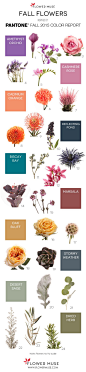 Fall Flowers inspired by Pantone 2015 Fall Color Report. See it on Flower Muse blog: http://www.flowermuse.com/blog/2015-fall-flowers-pantone-inspiration/: 