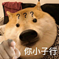 系眠收集，表情包