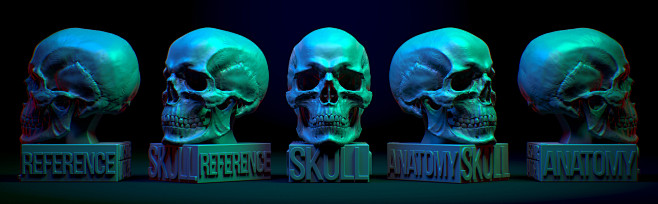 Anatomical manuals f...