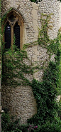 146_vines-tower-of-london