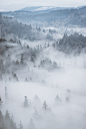 Wooded hills in the mountains under thick fog