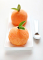 Campari-Citrus Sorbet (printable version) #赏味期限#