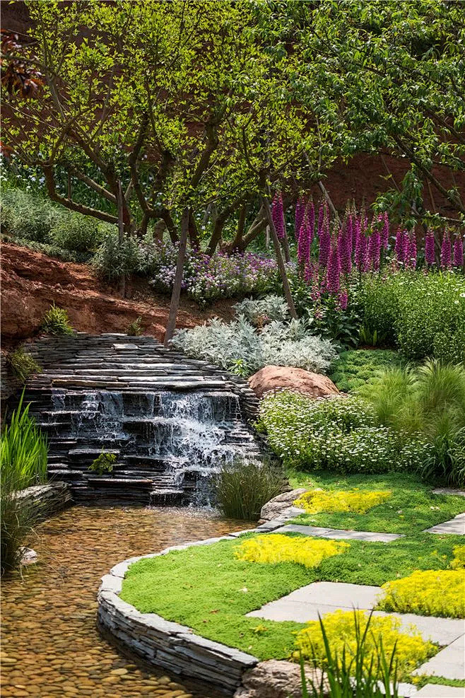 清本卿从严老师(植栽设计)转采于2019-12-16 16:00:48芦苇景观