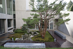 蜘蛛man采集到庭院