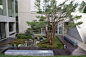 Above: A wide shot of the courtyard garden. The Japanese red pine shows off its well-pruned and maintained structure. The wooden walkways are made from Ipe.