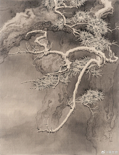 积攒人生采集到树