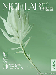 madao33采集到花皙蔻