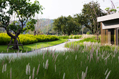 子风子采集到植物景观