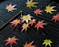 紅葉の簪（霜月）