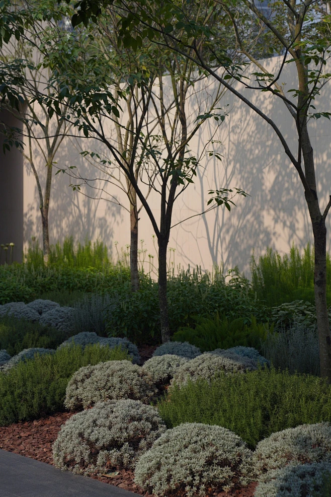 华润置地长隆万博悦府 - hhlloo : 奇迹之地-花瓣网