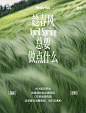 嗨新记！3招承包你的春日潮玩DNA