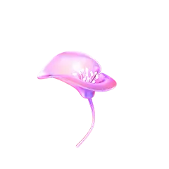 花角度2