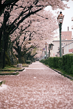 ~素颜采集到风景宜人