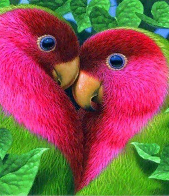 no wonder there called lovebirds--yes these are actually what