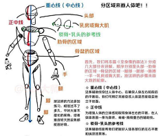 中间中采集到体型·男女