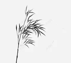 手绘水彩竹子 平面电商 创意素材