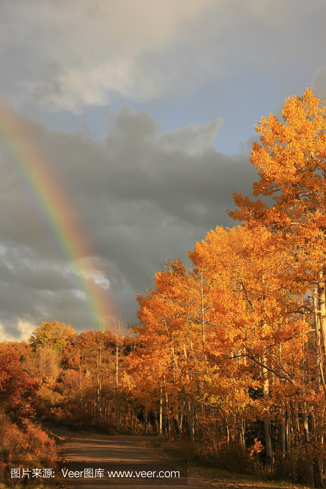 彩虹在白杨树，科罗拉多州
Rainbow...