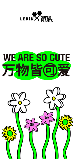 chrissie1991采集到包装