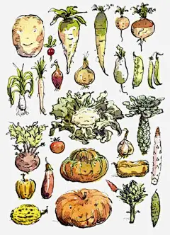 手绘复古蔬菜免抠素材_新图网 https://ixintu.com 萝卜 土豆 地瓜 插画 手绘 卡通 食材