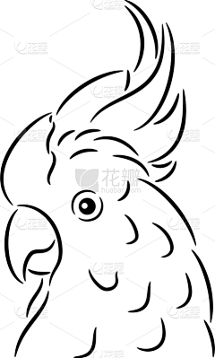 南忠豹思维导图采集到鸭 鹅 国画