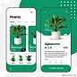植物花卉在线商店手机应用UI模板 plantshop app ui design template