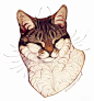 绘画素材库专用 [http://3610334610.qzone.qq.com]