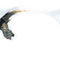 tirger1_427d8f1.png (1920×1924)
