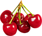 red cherry PNG image, free download