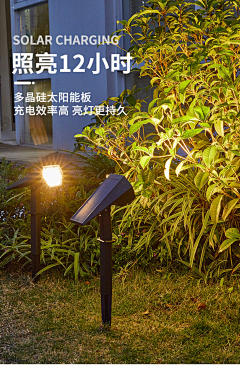 曦已有采集到射树灯