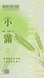 小满海报-源文件分享-ywjfx.cn