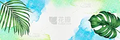 水彩画框架椰子叶怪兽，棕榈，绿色的叶子在蓝绿色的背景。水彩手绘插画热带异国树叶，设计，婚礼邀请，海报