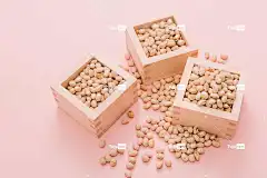 节分之日（立春）撒豆的照片素材