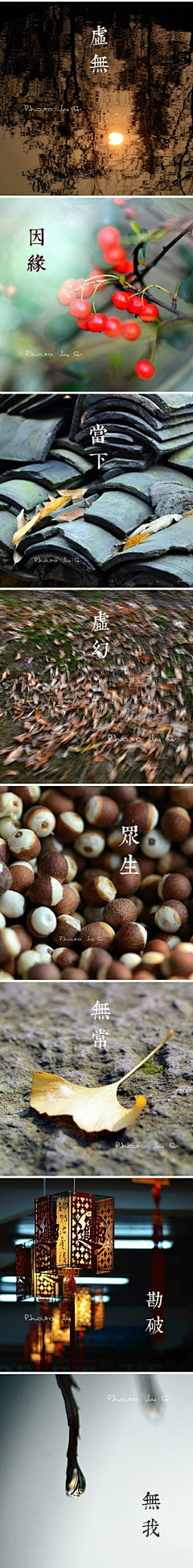 SjkI6_一凡采集到心动