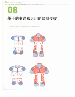 颜迟六月采集到人体结构原理