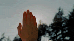 继续等待编辑采集到gif