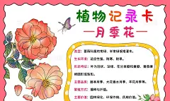 植物生长粉红色卡通简约手绘植物记录卡月季花小学生手抄报