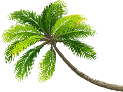 怂怂别怂啦采集到元素-png