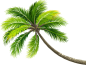wb宝儿别摆烂-免扣素材-植物-绿植00097