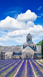 在薰衣草田矗立着普罗旺斯乡间最传统的建筑，农舍用土黄色密实的石块砌成墙壁，厚实的木门和木制窗板漆成鲜艳的天蓝色，和遮荫的大树一起，成为紫色田野中最显眼的景致。——普罗旺斯#法国欧洲