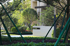 逗夫脑采集到入户景观