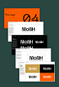 Brand Design brand guide brand guidelines brand identity brand identity template branding  branding guidelines Guidebook guides visual identity