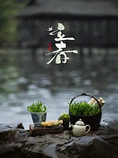 立春 _ 春风吹过万物苏 生机盎然立春时_1_萧寒_来自小红书网页版