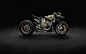 Ducati 杜卡迪 1199