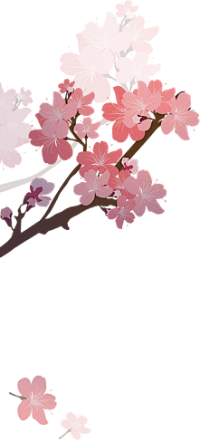 用户V0eMvbcC采集到花