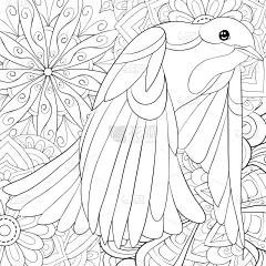 可爱的,成年的,斑鸠,华丽的,鸟类,洋葱花,乱画,着色,飞,冥想