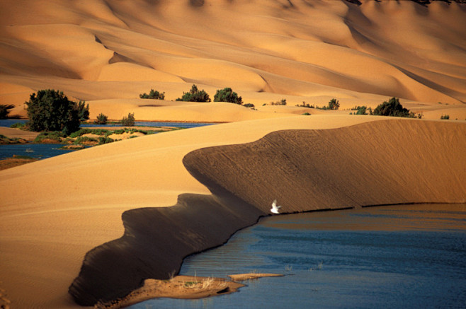 撒哈拉沙漠中的阿尤恩绿洲。