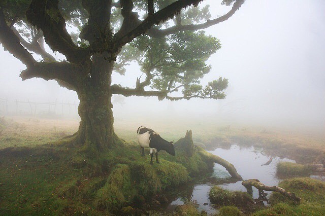 美景_风景_摄影