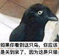 求资本家表情包【军武次位面吧】_百度贴吧